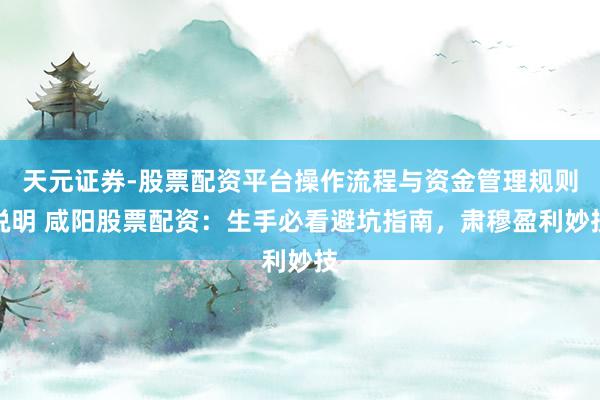 天元证券-股票配资平台操作流程与资金管理规则说明 咸阳股票配资：生手必看避坑指南，肃穆盈利妙技