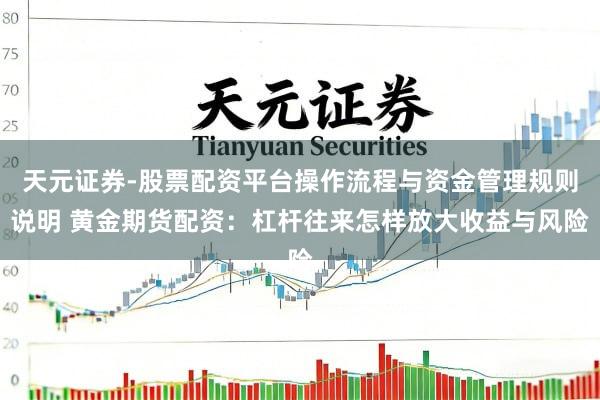 天元证券-股票配资平台操作流程与资金管理规则说明 黄金期货配资：杠杆往来怎样放大收益与风险