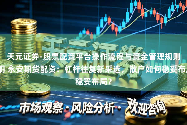 天元证券-股票配资平台操作流程与资金管理规则说明 永安期货配资：杠杆往复新采选，散户如何稳妥布局？