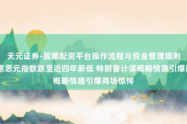 天元证券-股票配资平台操作流程与资金管理规则说明 好意思元指数跌至近四年新低 特朗普计谋概略情趣引爆商场惊愕